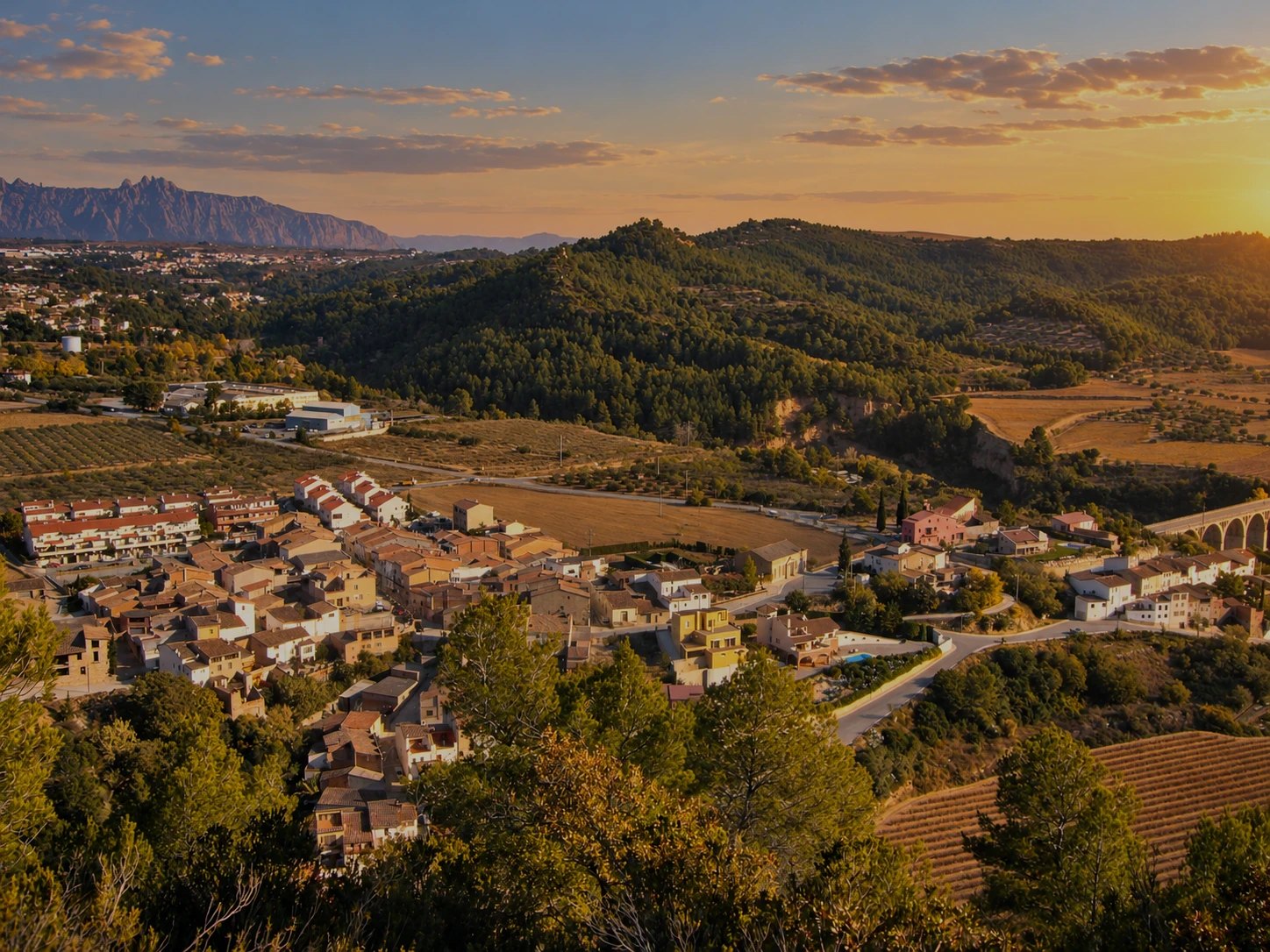 El Bedorc al capvespre, entre pinedes i camps, amb Montserrat al fons